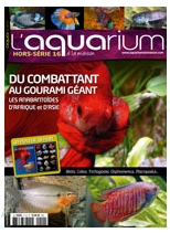 Hors-Série 16 Aquarium A La Maison